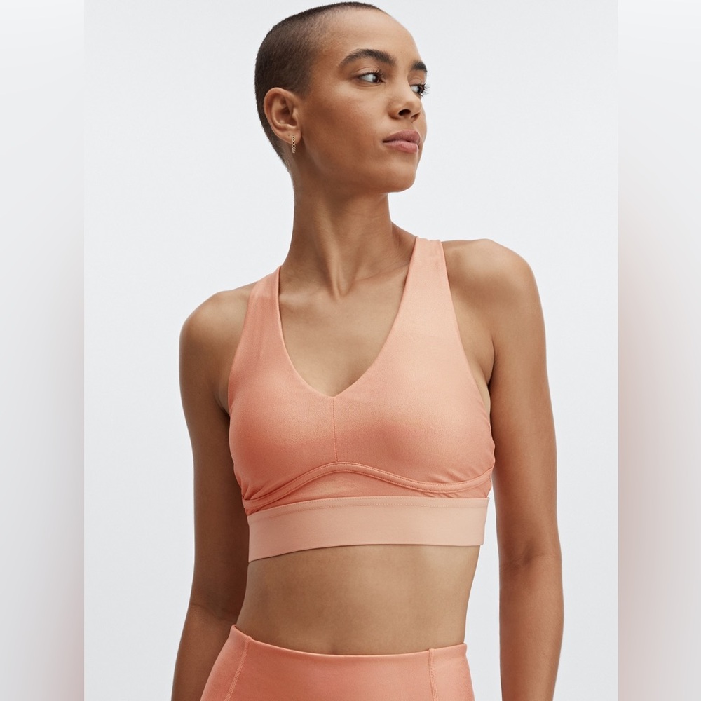 Fabletics NWT All Day Everyday Iridescent Bra II Size Medium